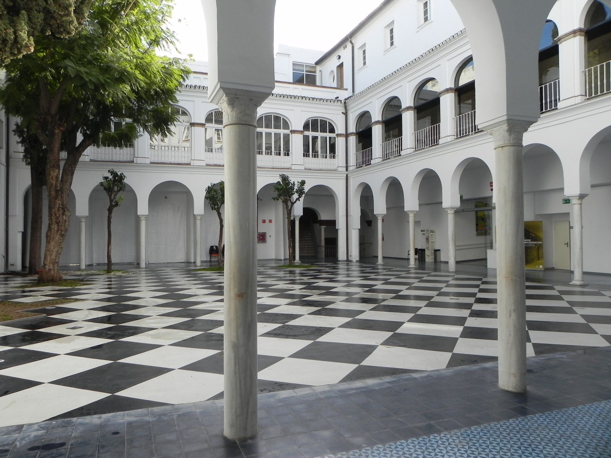 Patio CICUS actual