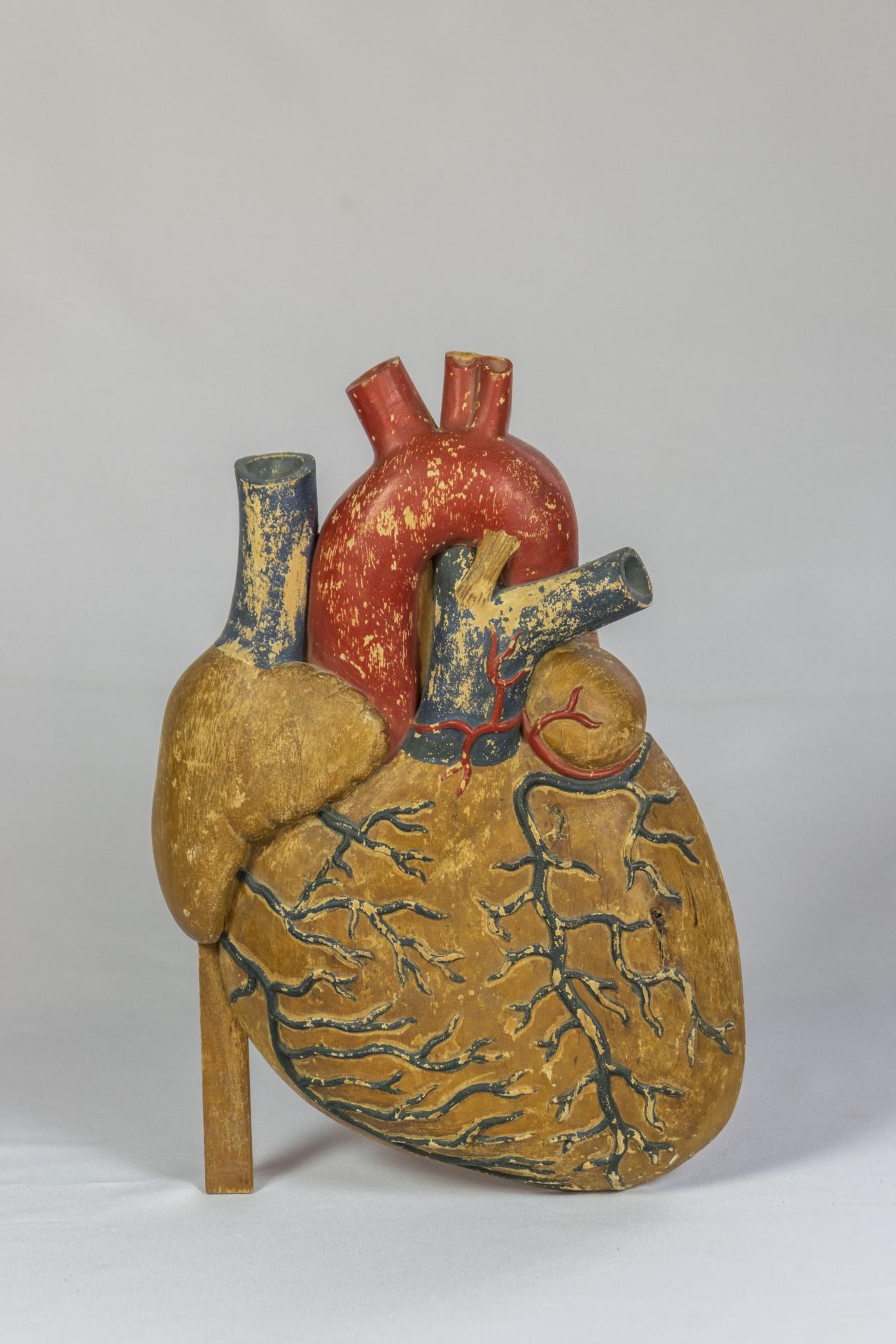 Corazón