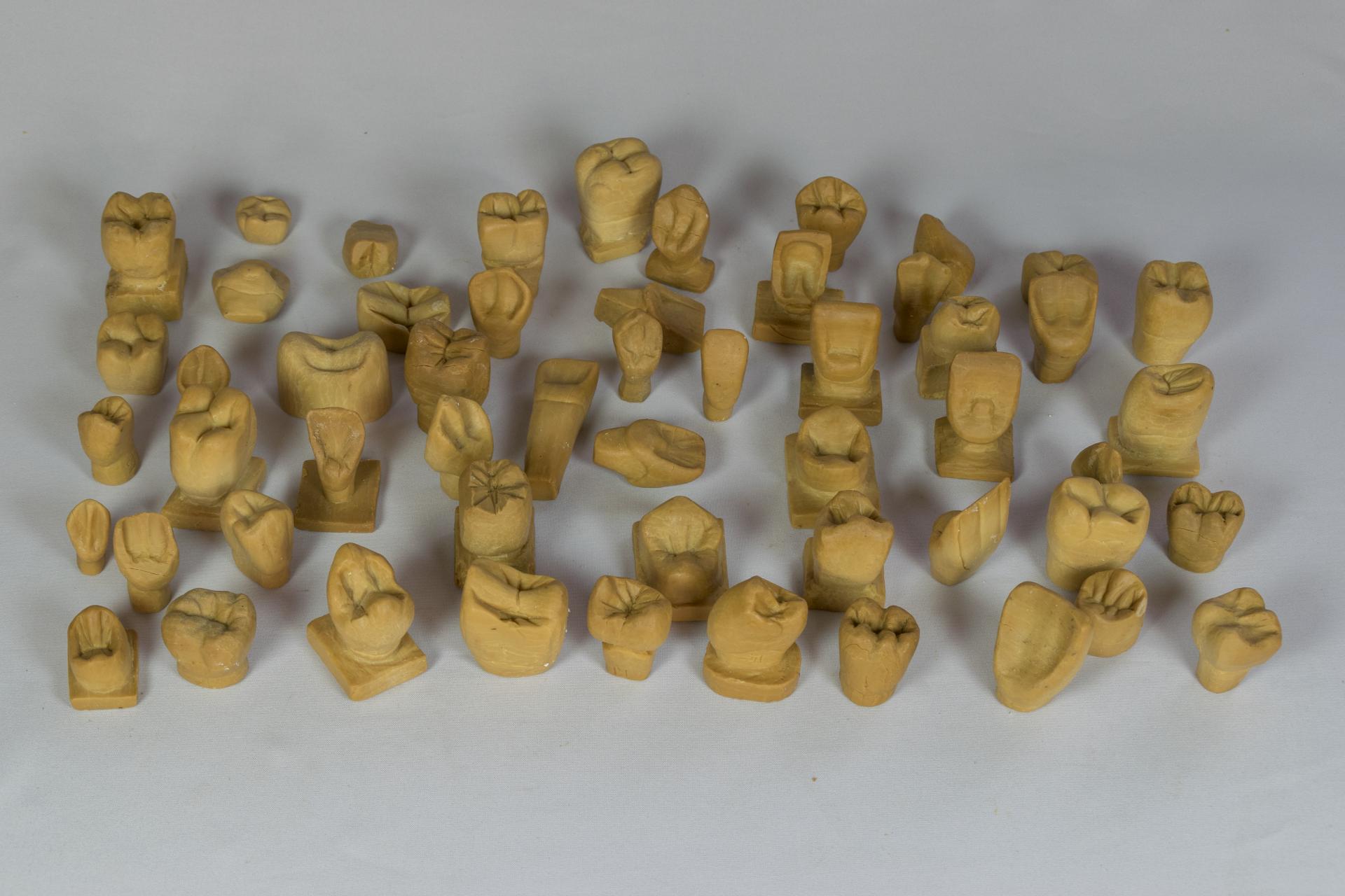 Modelos de piezas dentales
