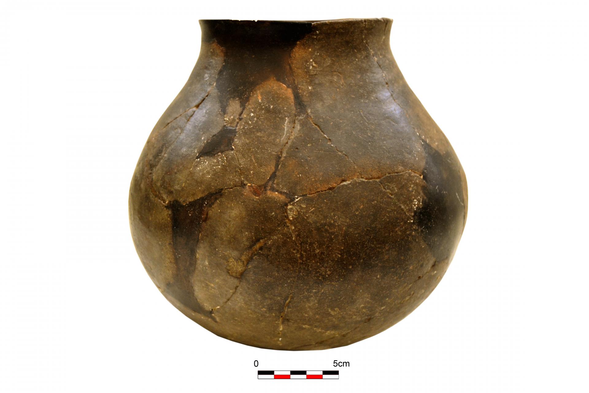 Vaso globular